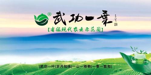 江西凤凰热点爆料新闻,揭秘当地热点事件背后的真相  第2张