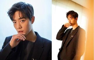 圈内爆料杨紫肖战最新,神秘新剧引期待  第1张