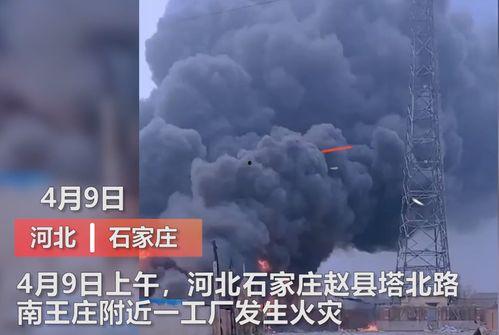 王庄最新爆料新闻视频播放,视频揭秘惊人内幕，真相令人震惊！  第1张