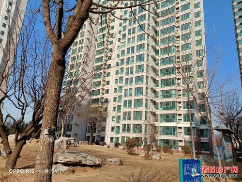 诸城半岛爆料最新消息今天,今日热点事件深度解析 第1张 诸城半岛爆料最新消息今天,今日热点事件深度解析 第1张