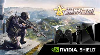 荒原爆料技能介绍视频下载,揭秘技能介绍视频中的隐藏亮点