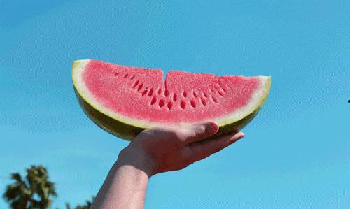 天鹅西瓜在线观看,在线观看，探寻奇幻世界的奇幻之旅  第2张